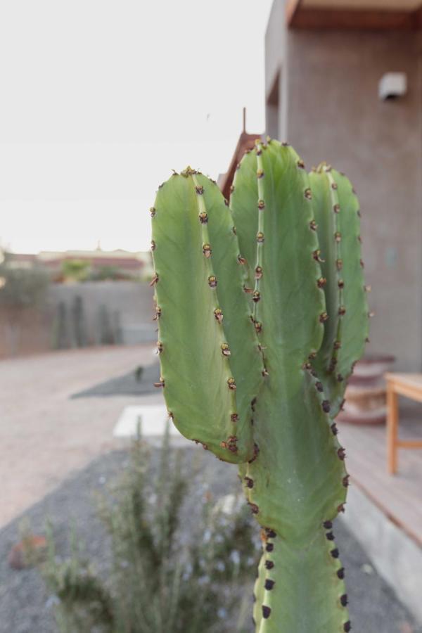 Casa Michaus Valle De Guadalupe Zewnętrze zdjęcie