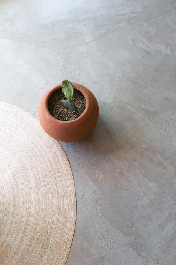 Casa Michaus Valle De Guadalupe Zewnętrze zdjęcie