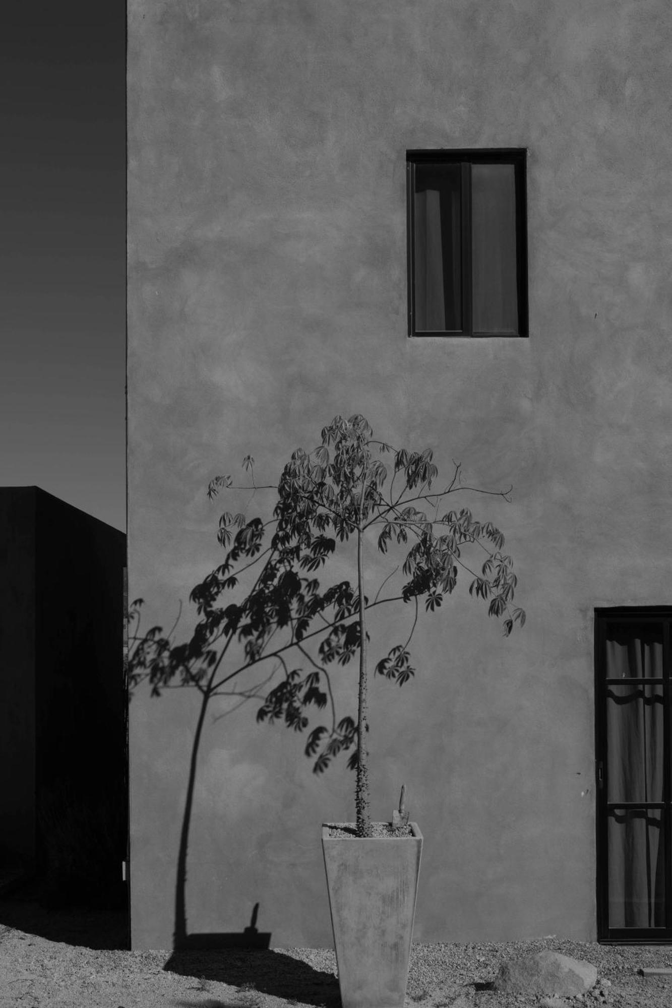 Casa Michaus Valle De Guadalupe Zewnętrze zdjęcie