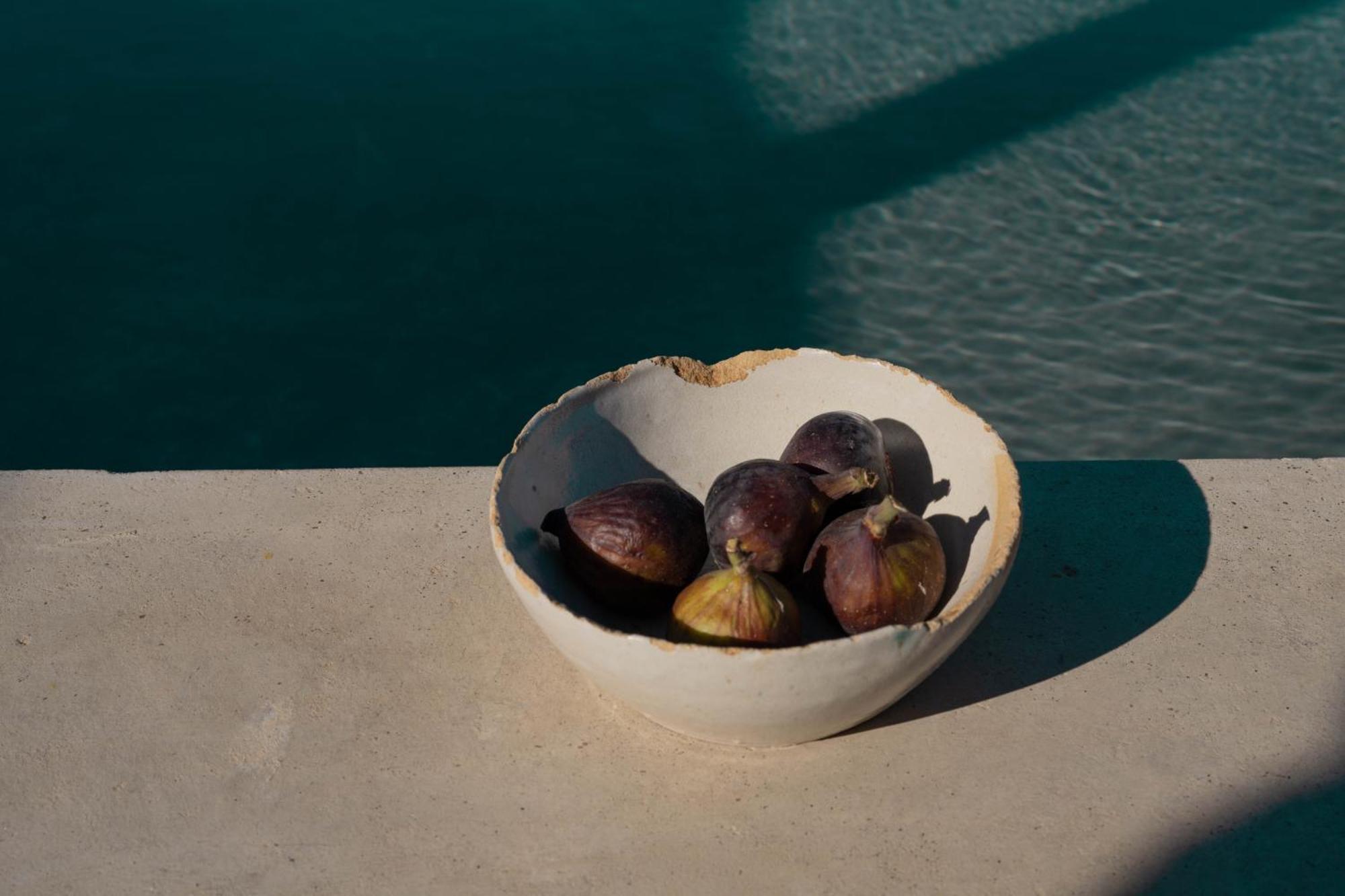 Casa Michaus Valle De Guadalupe Zewnętrze zdjęcie