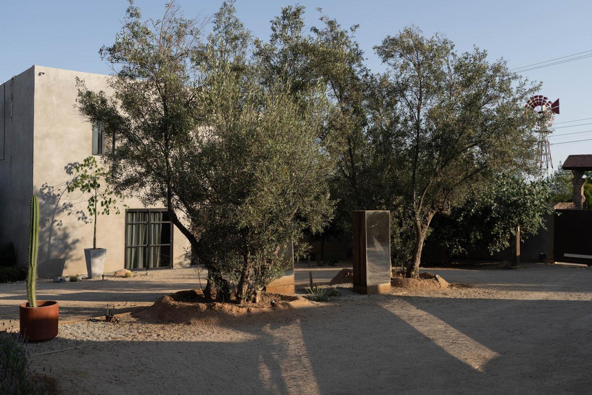 Casa Michaus Valle De Guadalupe Zewnętrze zdjęcie